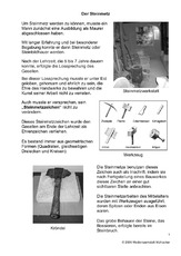 Steinmetz-SW-1.pdf